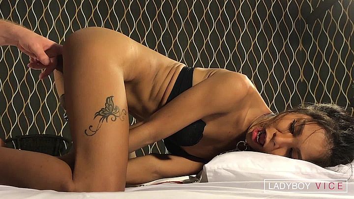 Sunny’s Hardcore POV Anal on LadyboyVice
