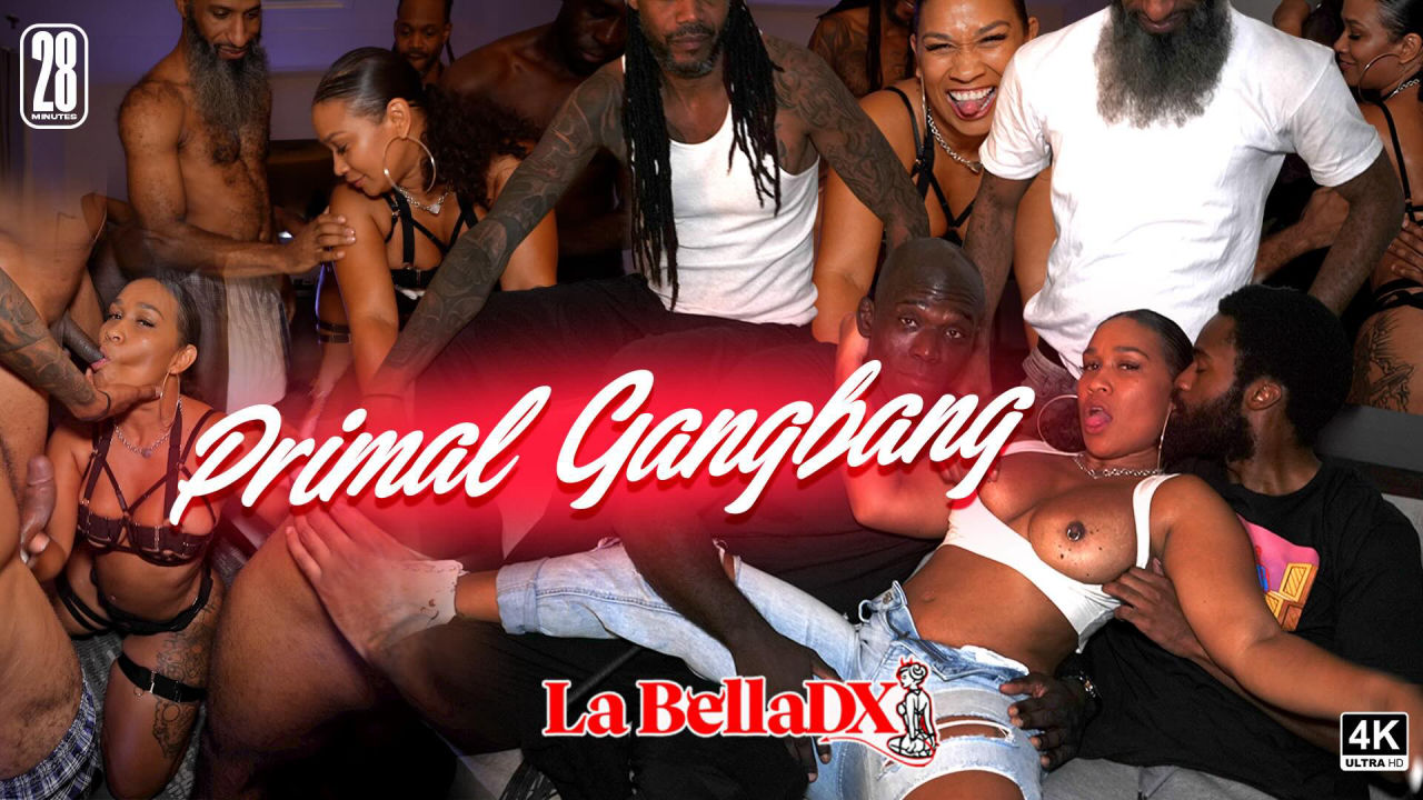 LaBellaDX XXX Hardcore Raw Gangbang