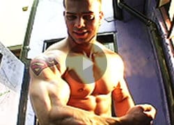 muscle-videos-weverton